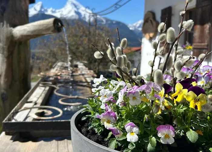 Appartement Zwingerlehen *